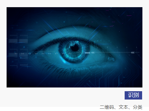 技術(shù)拓展商業(yè)邊界 博杰AI視覺(jué)算法平臺(tái)驚艷亮相